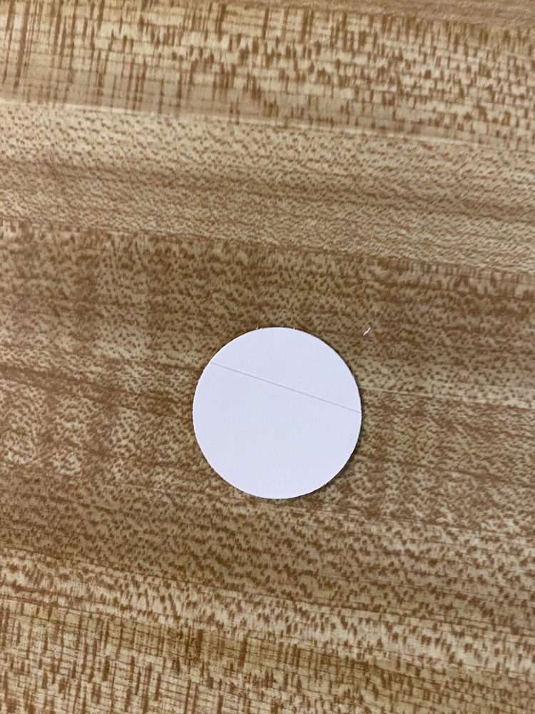 Buc-ee's Beaver Stickers 3 different Sizes