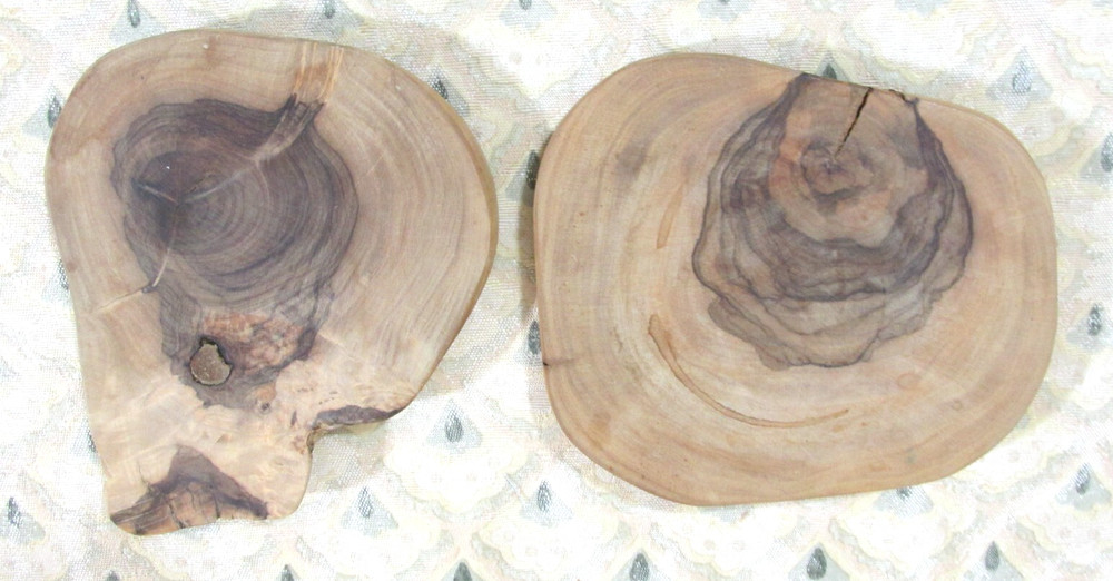 PETRIFIED TREE SLICES FOSSILIZED 5" ROUNDS
