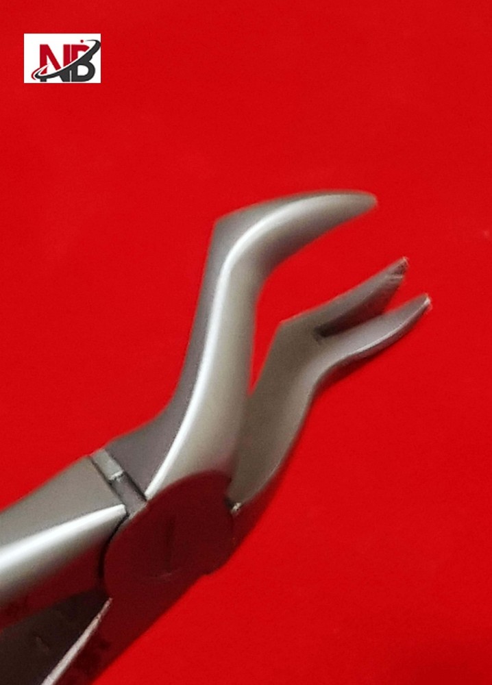 88R DENTAL EXTRACTING EXTRACTION FORCEPS UPPER MOLARS, RIGHT ANATOMICAL HANDLE