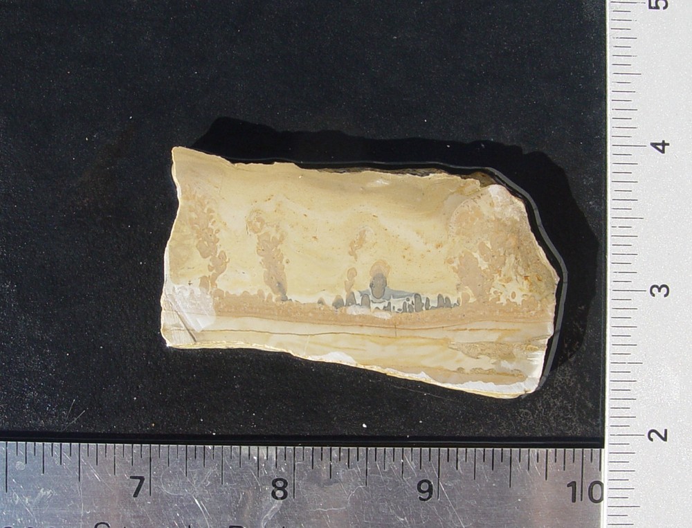 Cotham Marble   Lapidary Slab                    T1309
