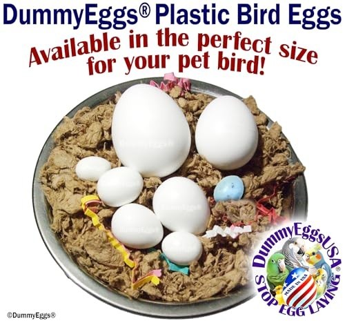 7 Cockatiel Dummy Bird Eggs - Stop Brooding & Laying! Solid Plastic Fake Eggs fo