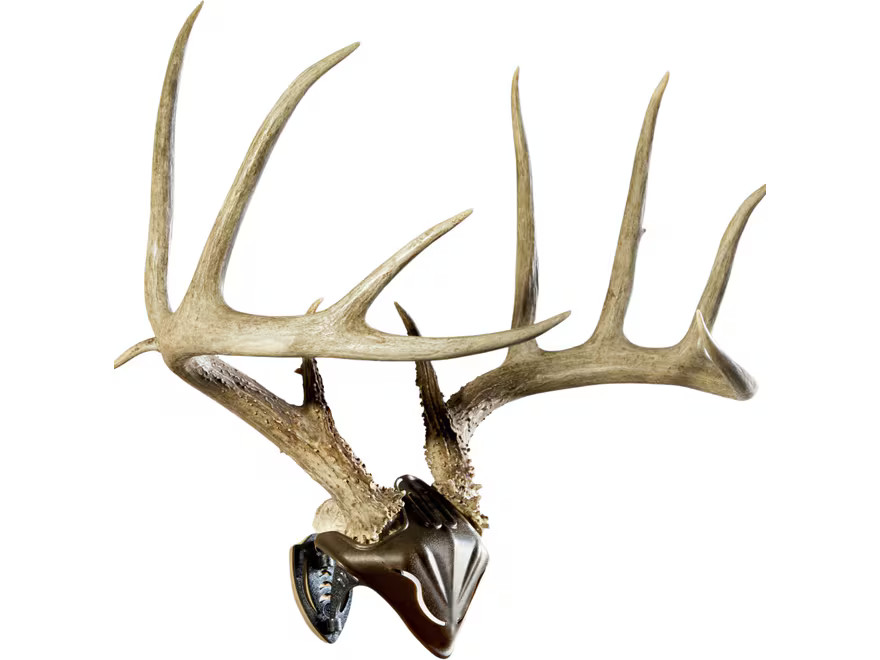 Skull Hooker Bone Bracket and Skull Cap Antler Mounting Kit
