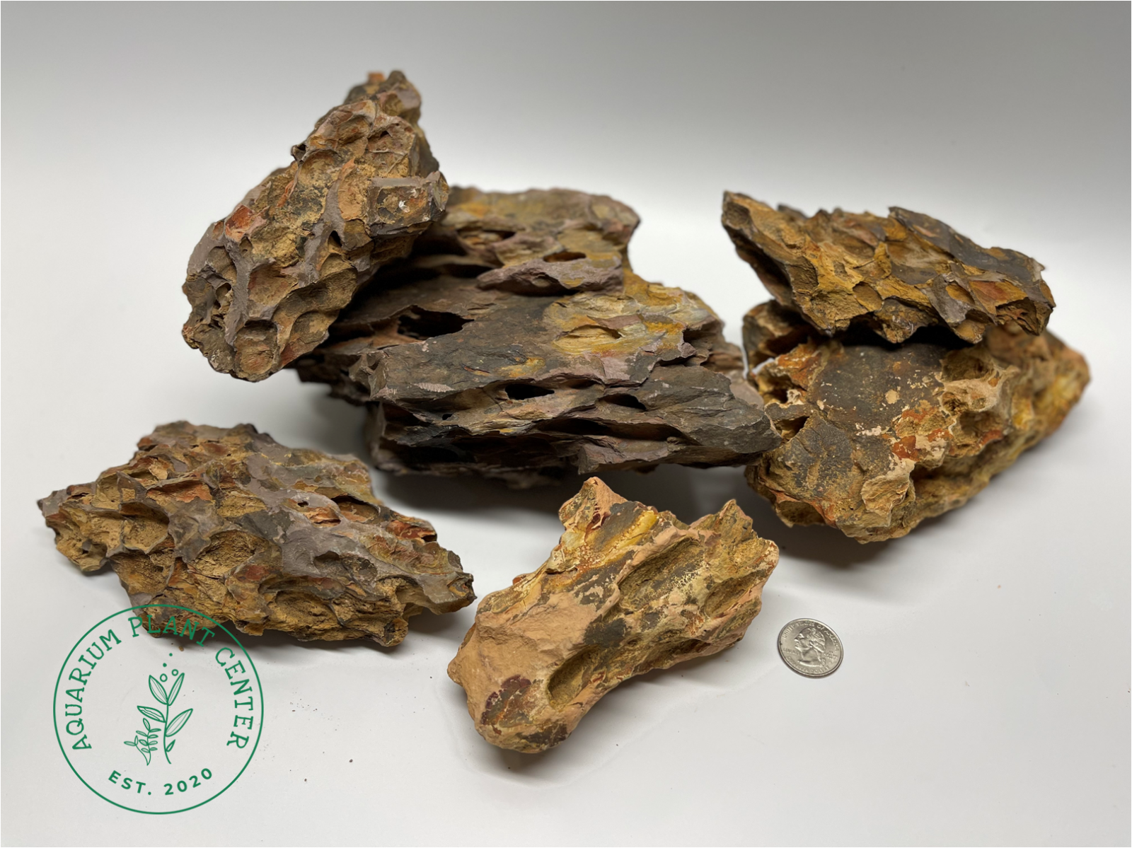 Dragon Stone (Ohko Stone) / Planted Aquarium / Decoration / Hardscape / Aquarium