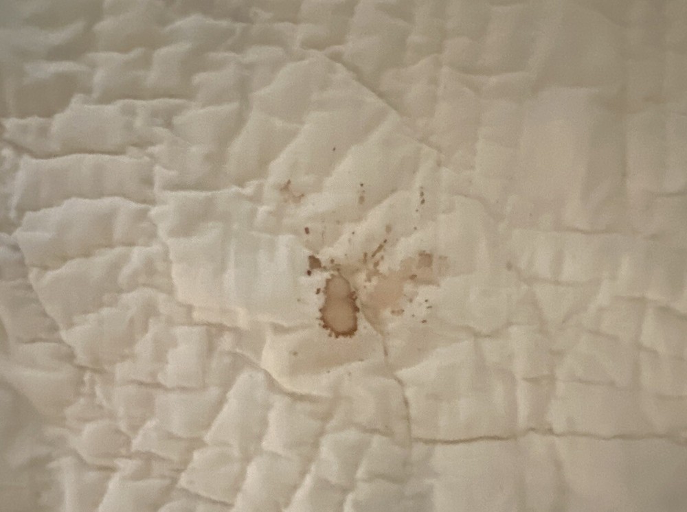 QUILT-‘SIGNED’ HANDMADE Wedding Ring Pattern 78” X 56” PATCHWORK *ANTIQUE*