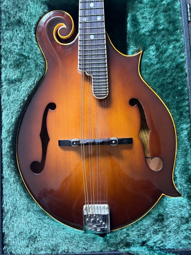 Kasuga Flat Mandolin M-75