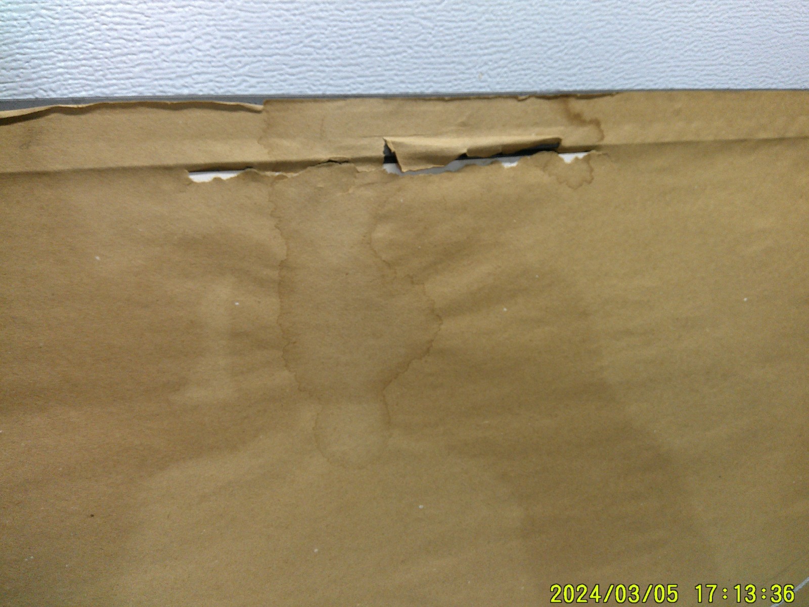 Vintage Ringling Bros Barnum & Bailey Monkey Circus Poster Artist Signed Framed