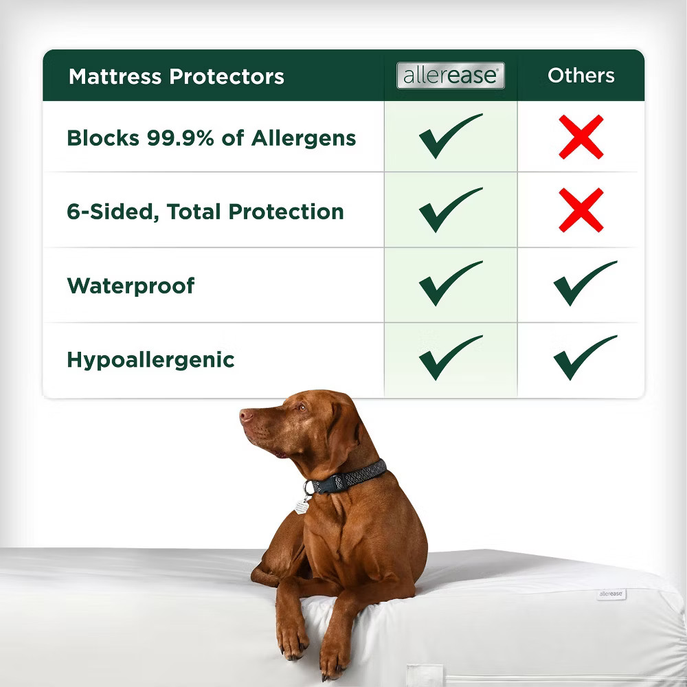 Queen Cotton Fresh Mattress Protector - AllerEase