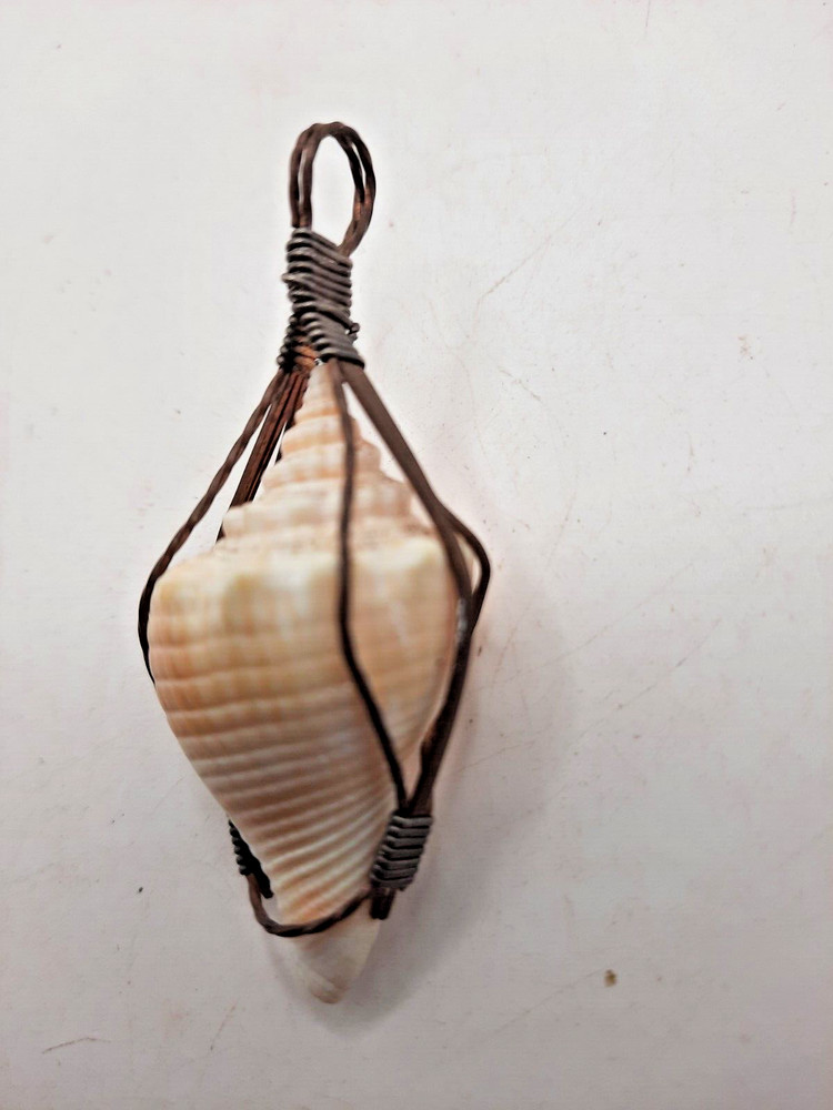 Small Conch Shell Wire Wrap 1 3/4 inches