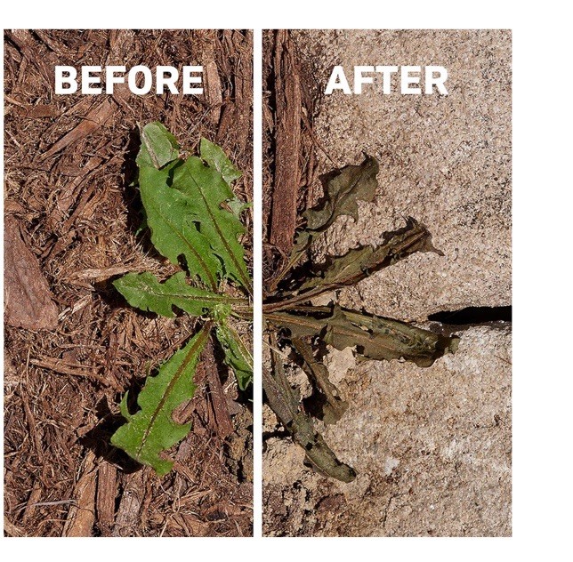 Spruce Weed Killer Spray - Snap & Spray Weed & Grass Killer₂ Powered Starter Kit