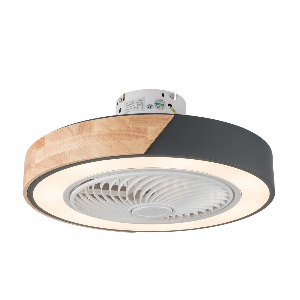 22'' Modern Ceiling Fan with Remote Dimmable LED Light Flush Mount Chandelier