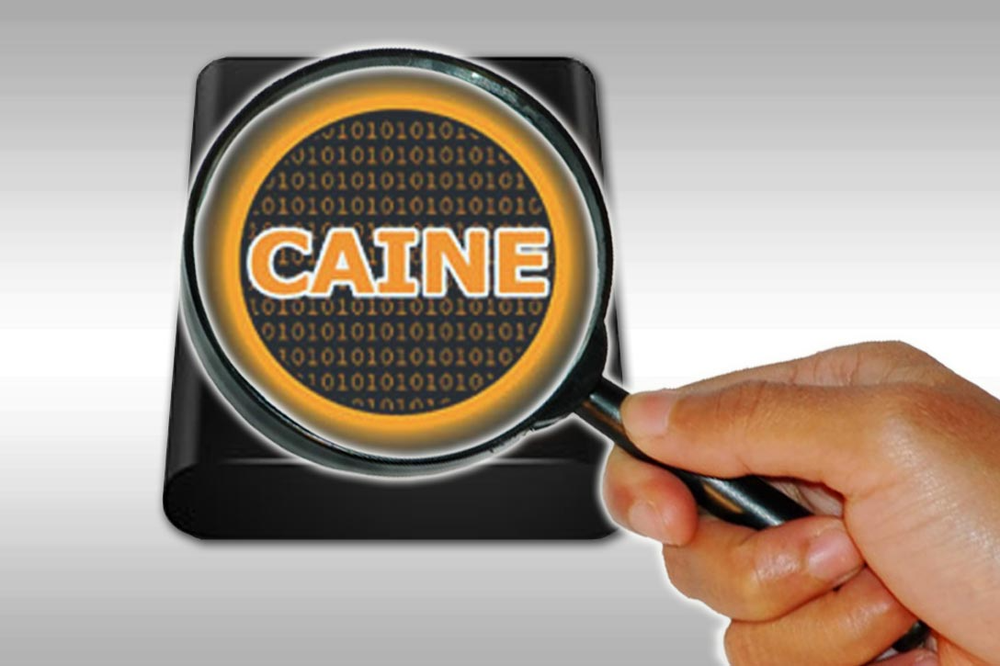 IT Digital Forensics Investigative Environment Toolkit (CAINE) Bootable Live USB