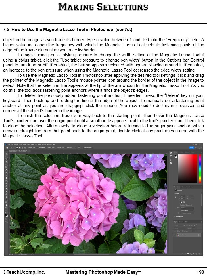ADOBE PHOTOSHOP DELUXE Training Tutorial PDF Manual and Quick Reference Guide