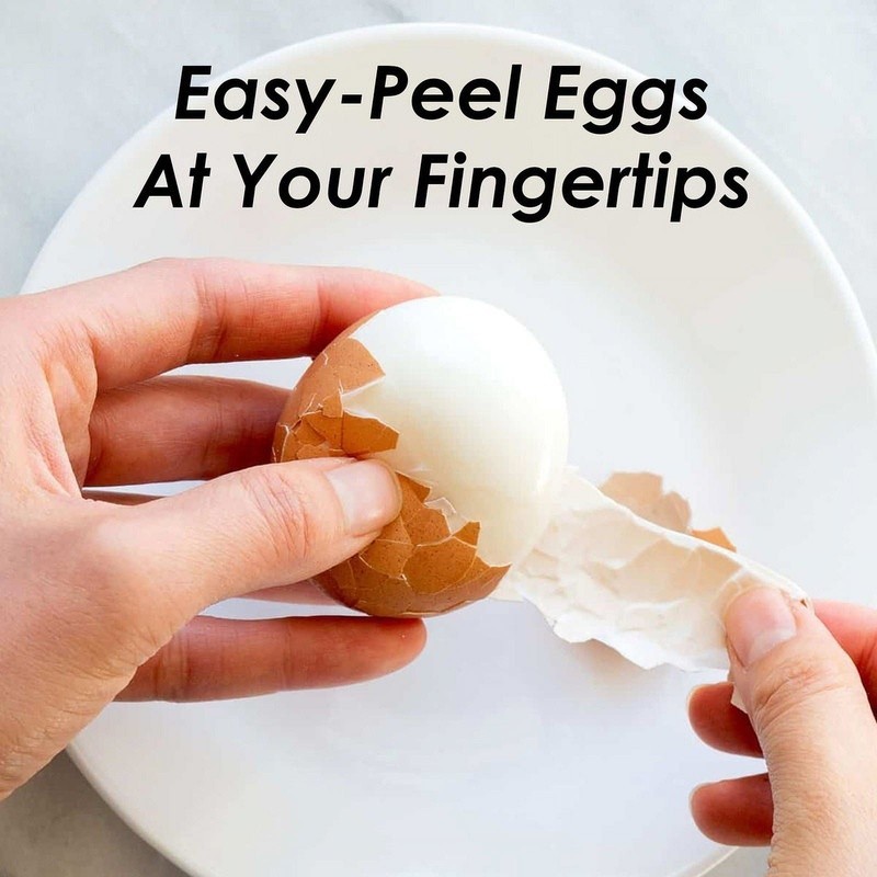 Automatic Egg Cooker 7 Eggs Soft Medium Hard Boiled Timer Poaching Tray New