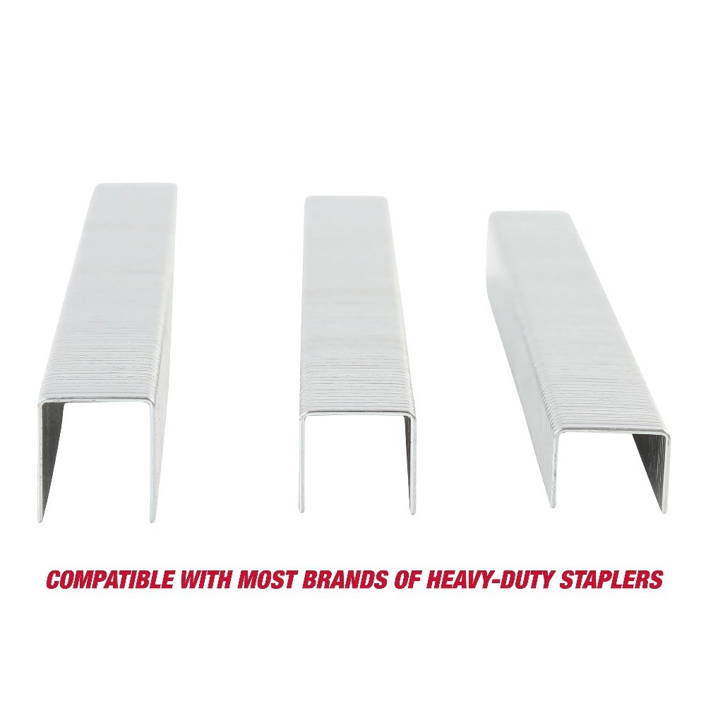 Heavy Duty Staple Assortment Kit 2000 Pieces for DIY Crafting with Multiple
