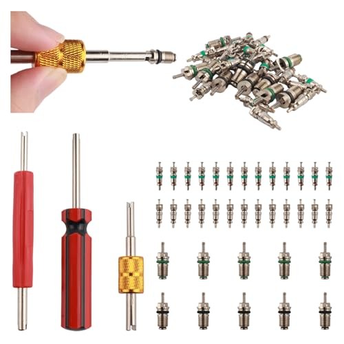 39PCS AC Valve Core Kit,AC Valve Kit Include Single & Double Head ACS Valves