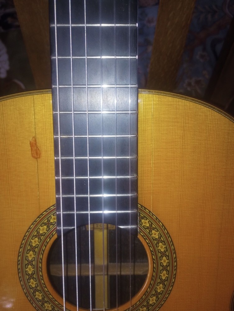 Tama classical guitar TC-10