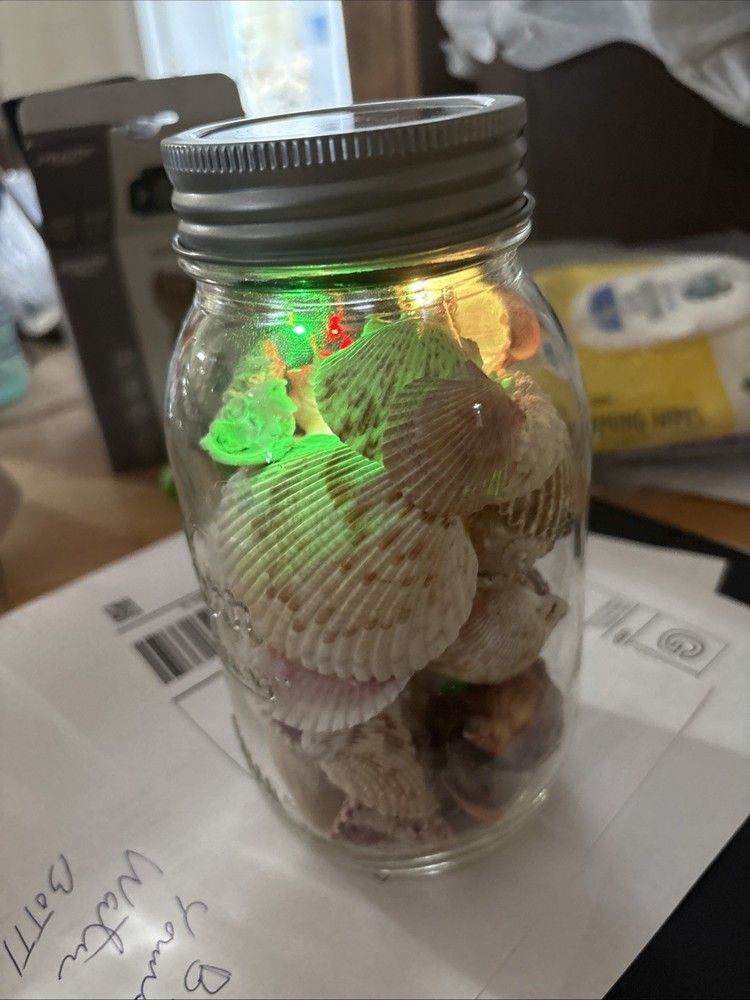 Shells In Lighted Jar