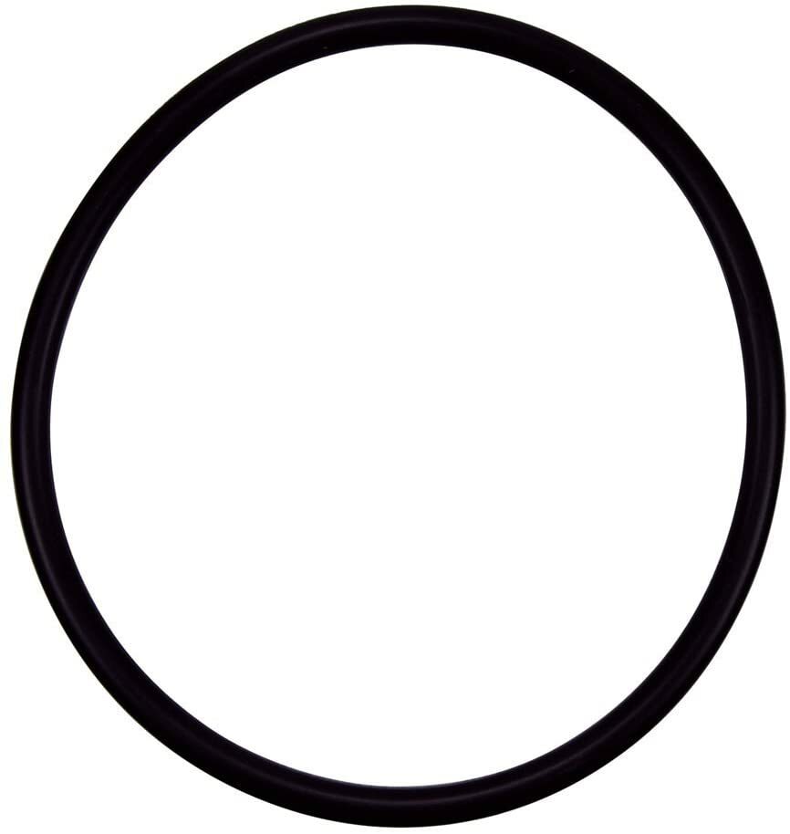 Pentair R172009 Cap O-Ring Replacement Pool and Spa Filter & Feeder