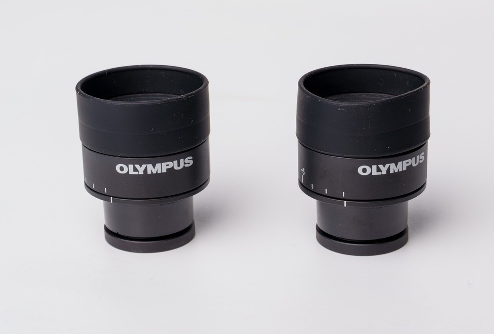 Pair Olympus  10X 20 Microscope Eyepieces 30mm