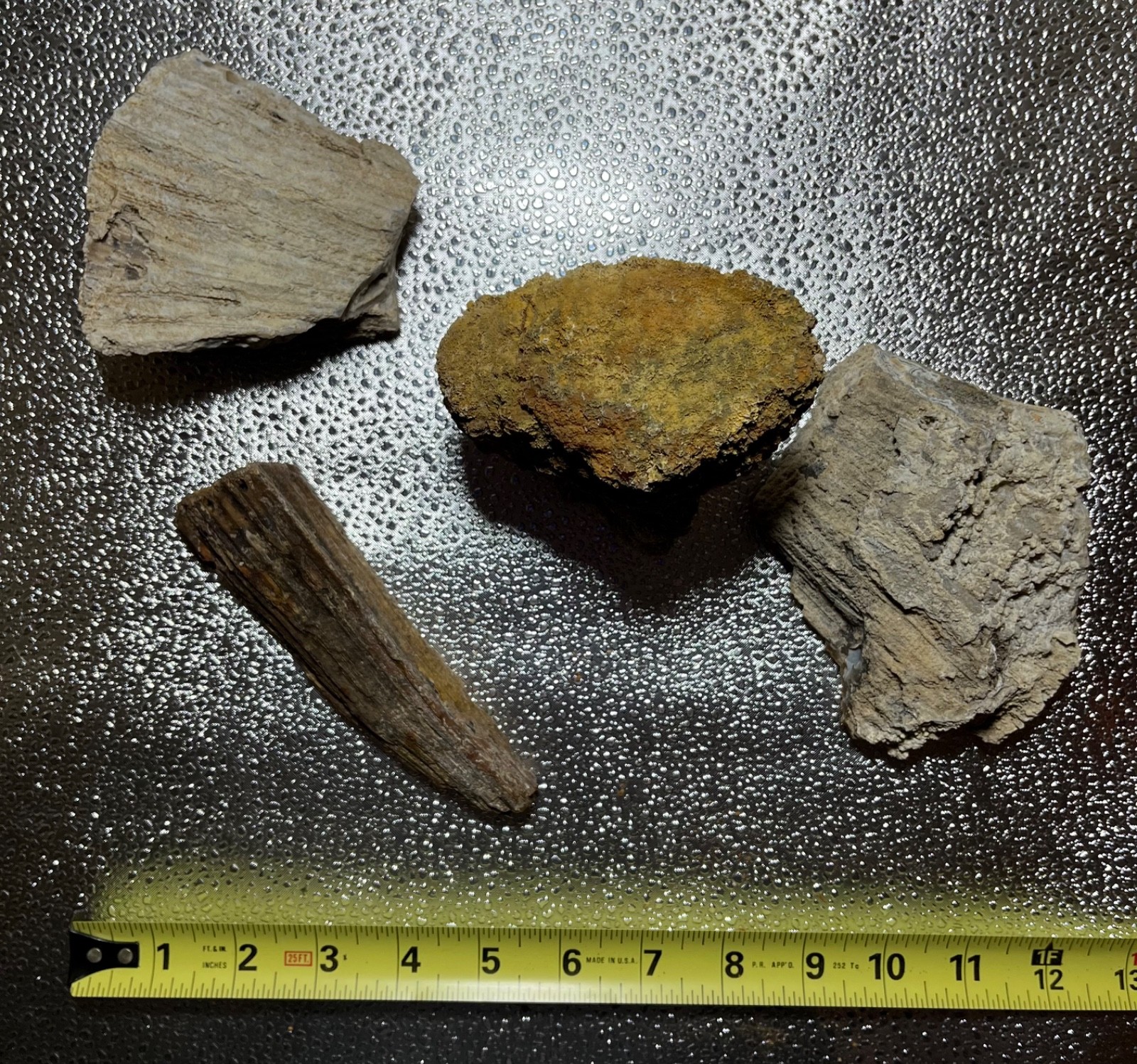 AGATIZED CORAL FLORIDA AGATE GEODES LOT 3 lb 5 oz 4 LARGE FOSSILIZED CORAL GEODE