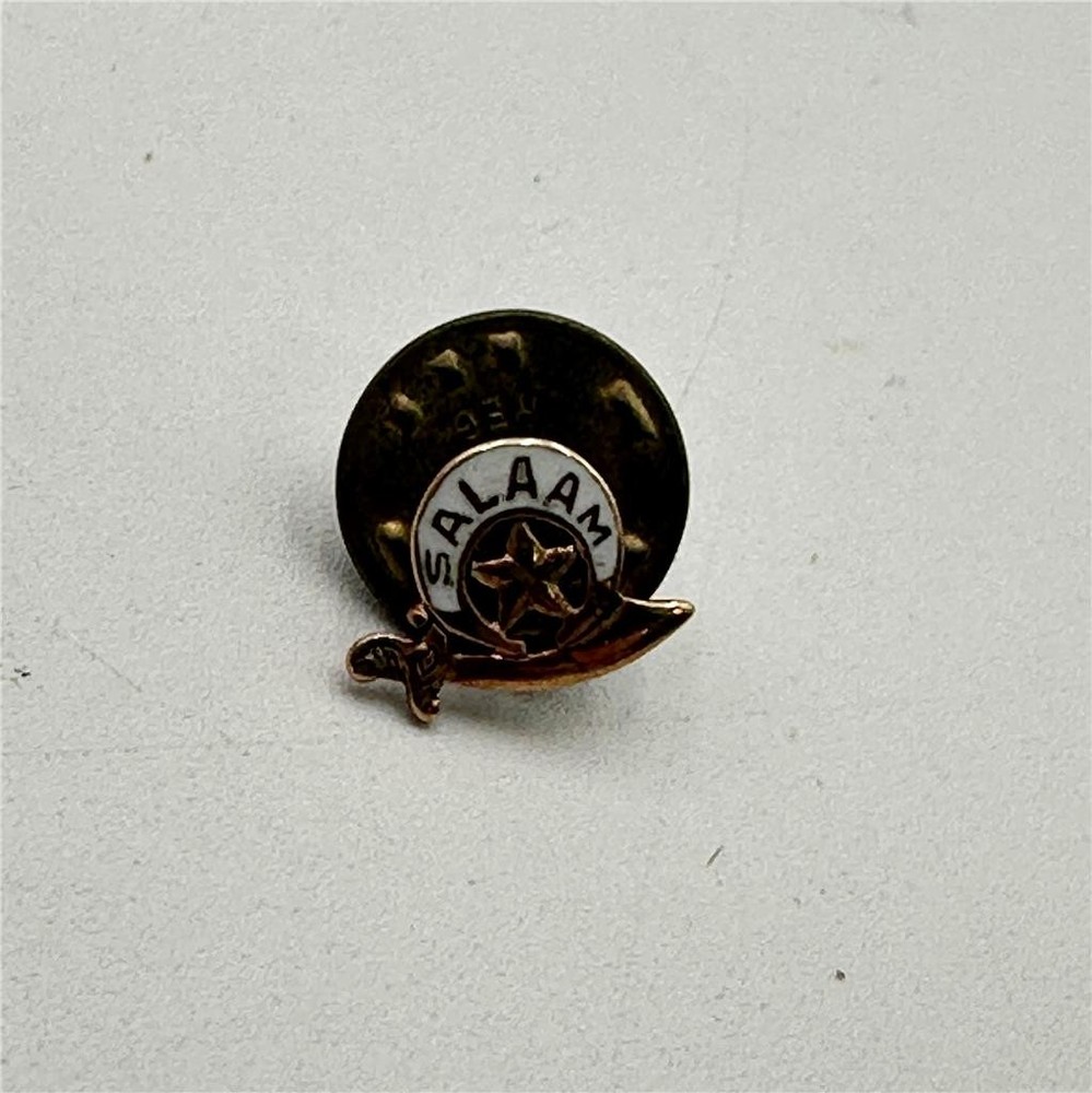 Salaam Shriners Masonic Pin