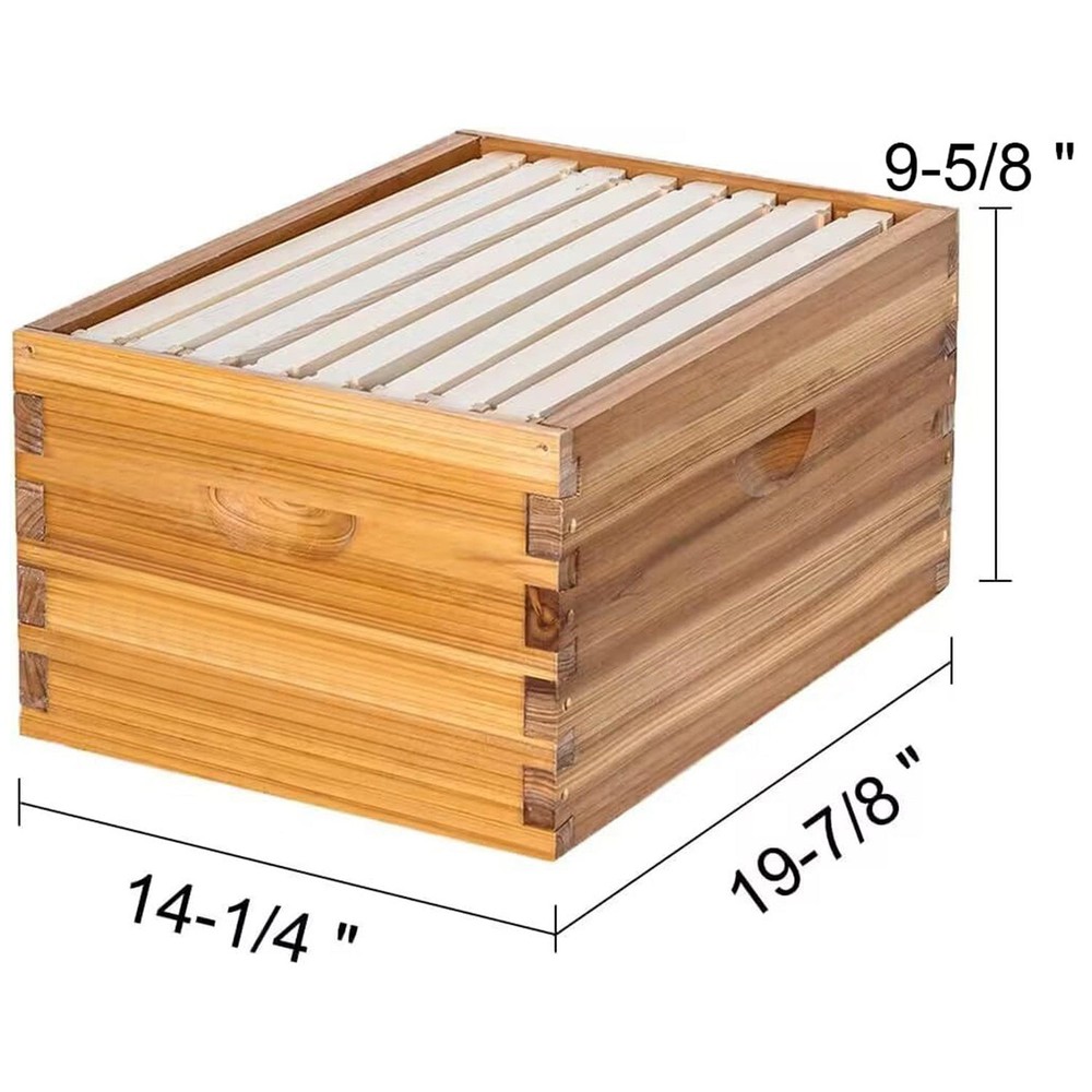 8 Frame Langstroth Bee Hive Coated with Beeswax Includes Beehive Frames
