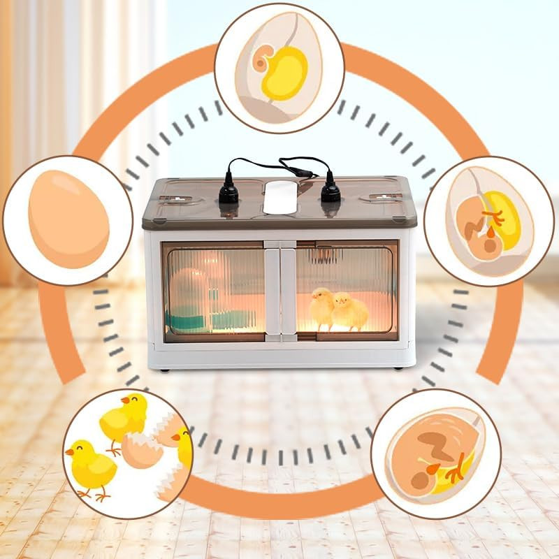 Brooder Box for Chicks Quail Brooder Box with Thermostat Poultry Heater Breeding