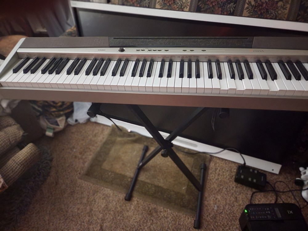 Casio Priva PX 120 & AODSX stand.