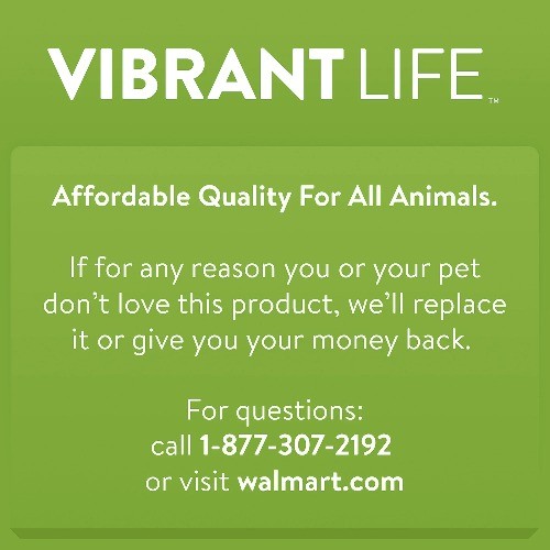 Vibrant Life Cat Cube Condo, GRAY