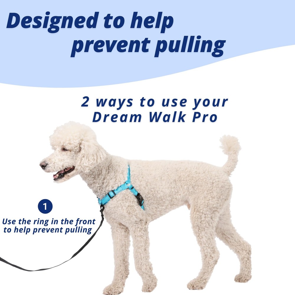 Small Midnight Dream Walk Pro Dog Harness No Pull Adjustable Pet Halter
