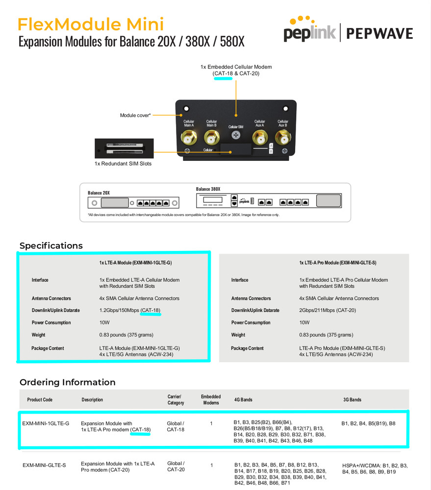 Peplink Balance 20X Router with LTE CAT-18 FlexModule Modem (Combo/Bundle)
