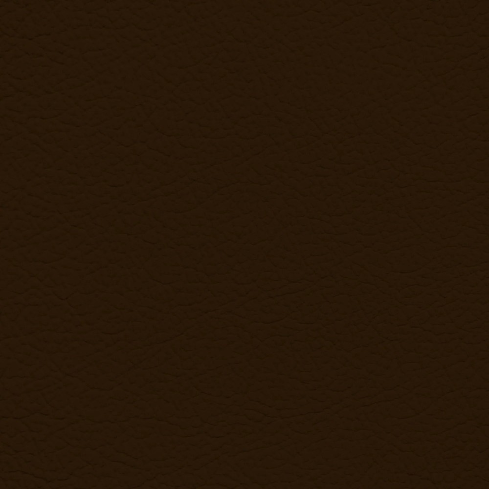 Jaguar Chocolate Leather Dye