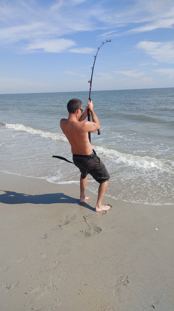 Shark Rig (The"Micah"Rig)