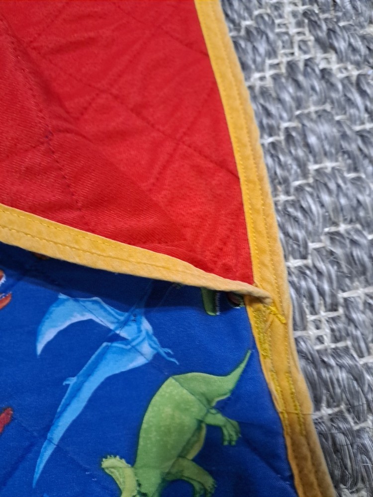 Kids Dinosaur Pattern Nap Mat