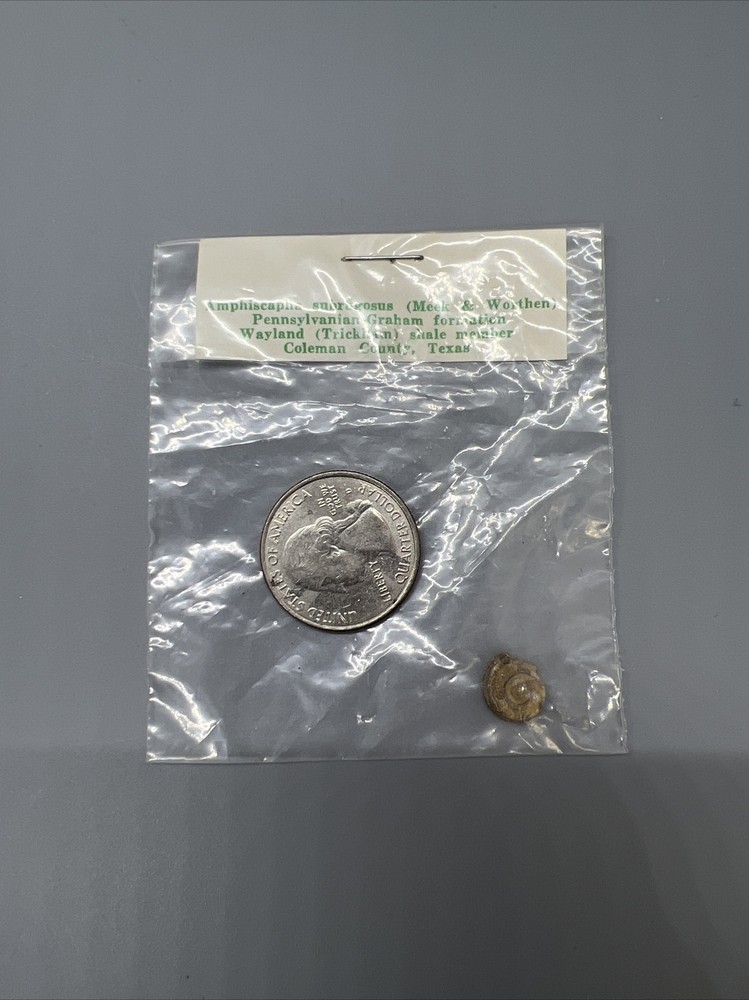 15-SPECIMEN MAJOR PHYLUM FOSSIL COLLECTION LABELED & SEALED
