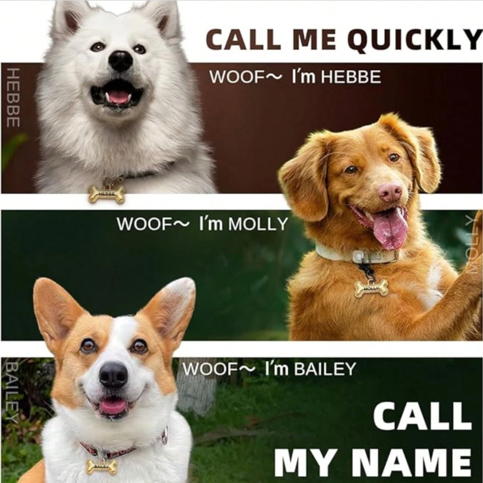 Custom Dog Tags Engraved Personalized Pet ID Name Plate 3D Bone Collar Charm