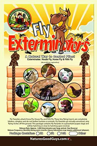 NaturesGoodGuys Fly Exterminators 2,000 Size