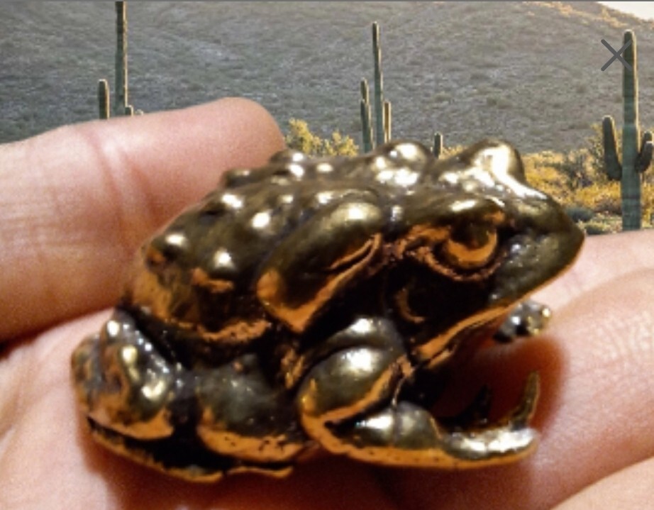 Bufo alvarius Sonoran Desert Toad Alter Piece ~ brass/small BUFO MEDICINE