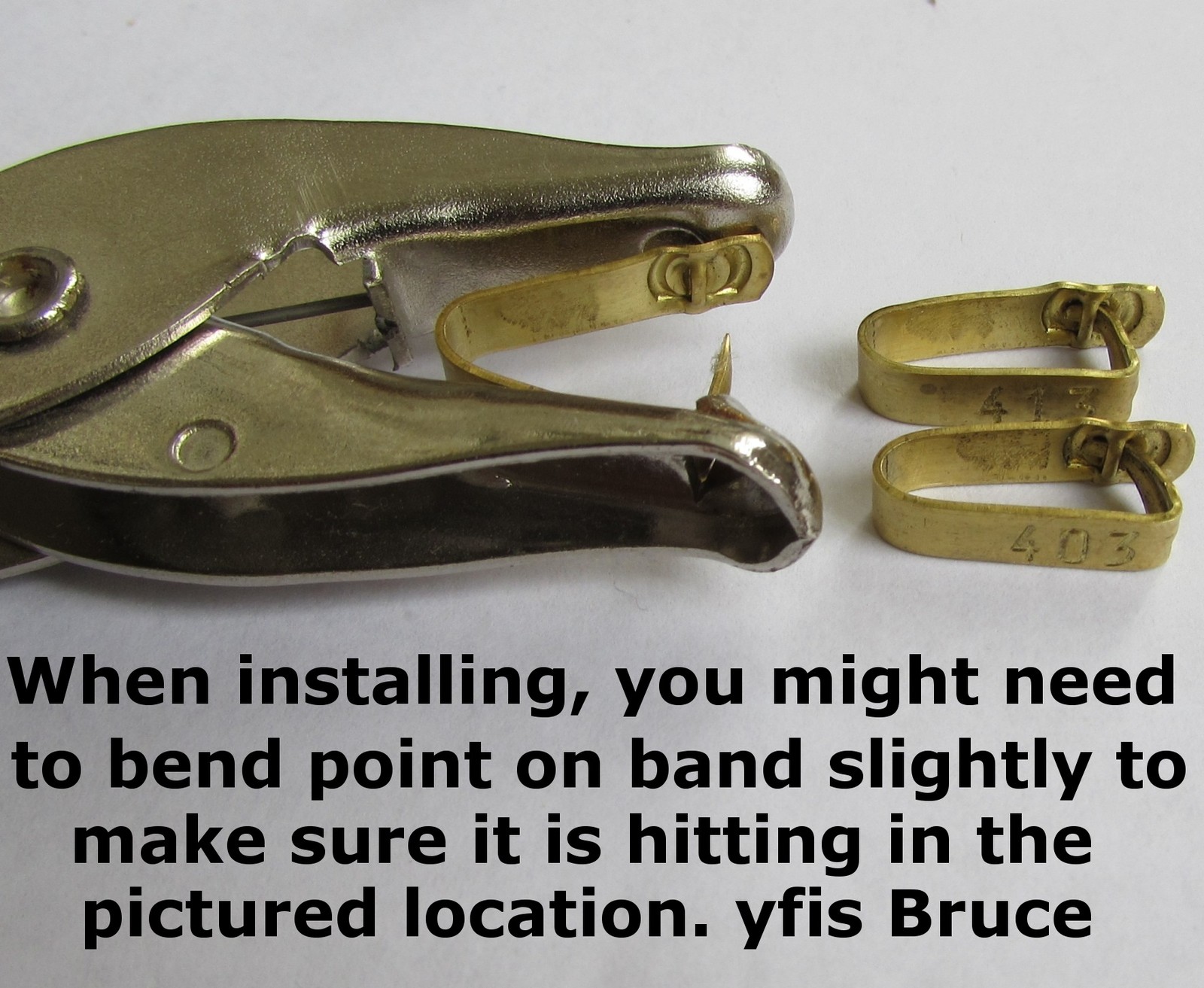 Jiffy Wing Bands 100pcs Customized Poultry Chicken ID Tags w/ Name or Farm Name