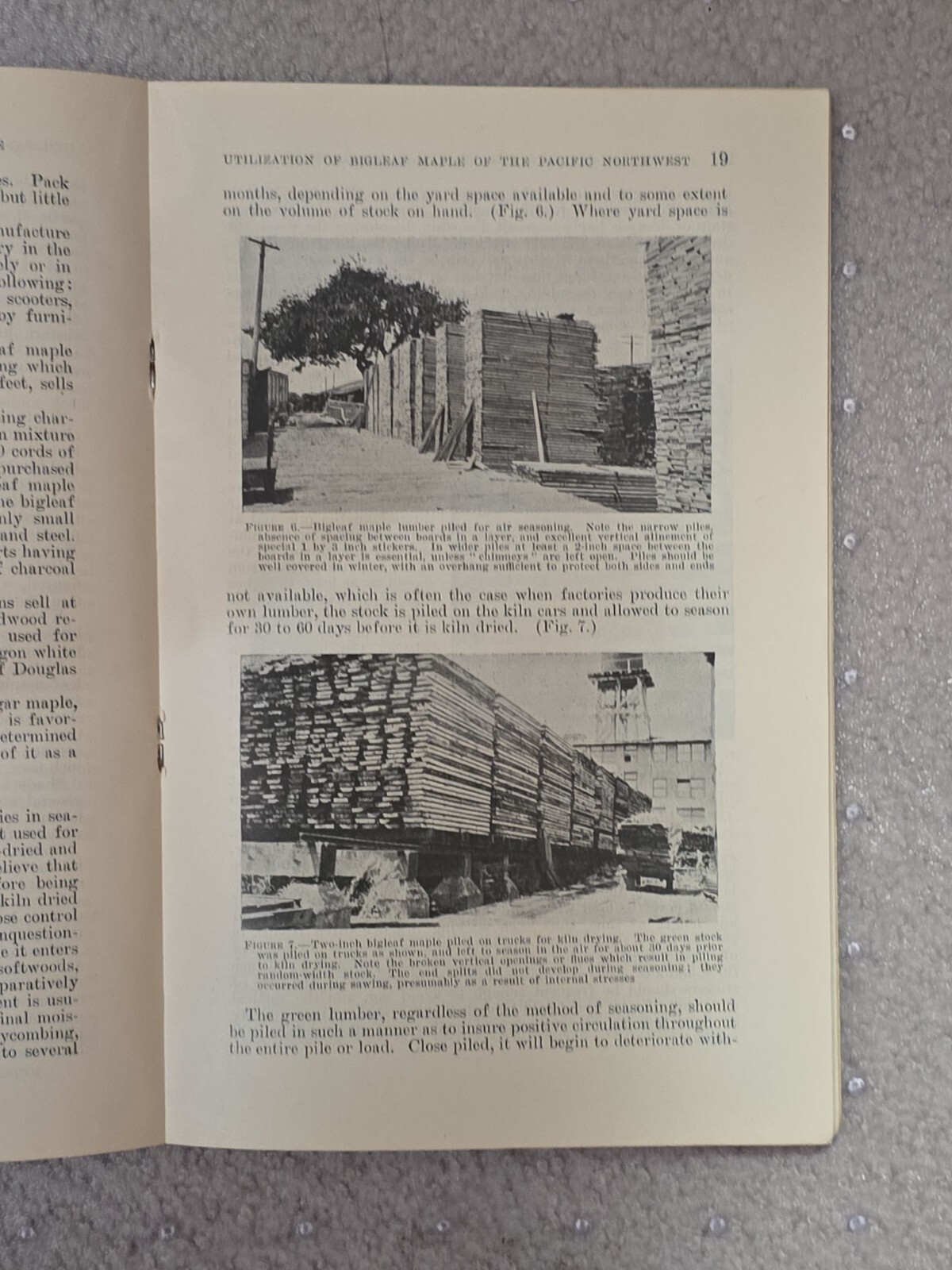 United States Department Of Agriculture - Circular No. 225 - 1932 -Bigleaf Maple