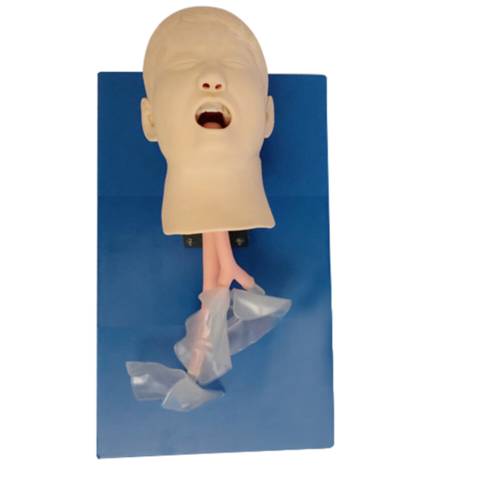 Intubation Manikin Study Teaching Training Model Airway Management Trainer Model