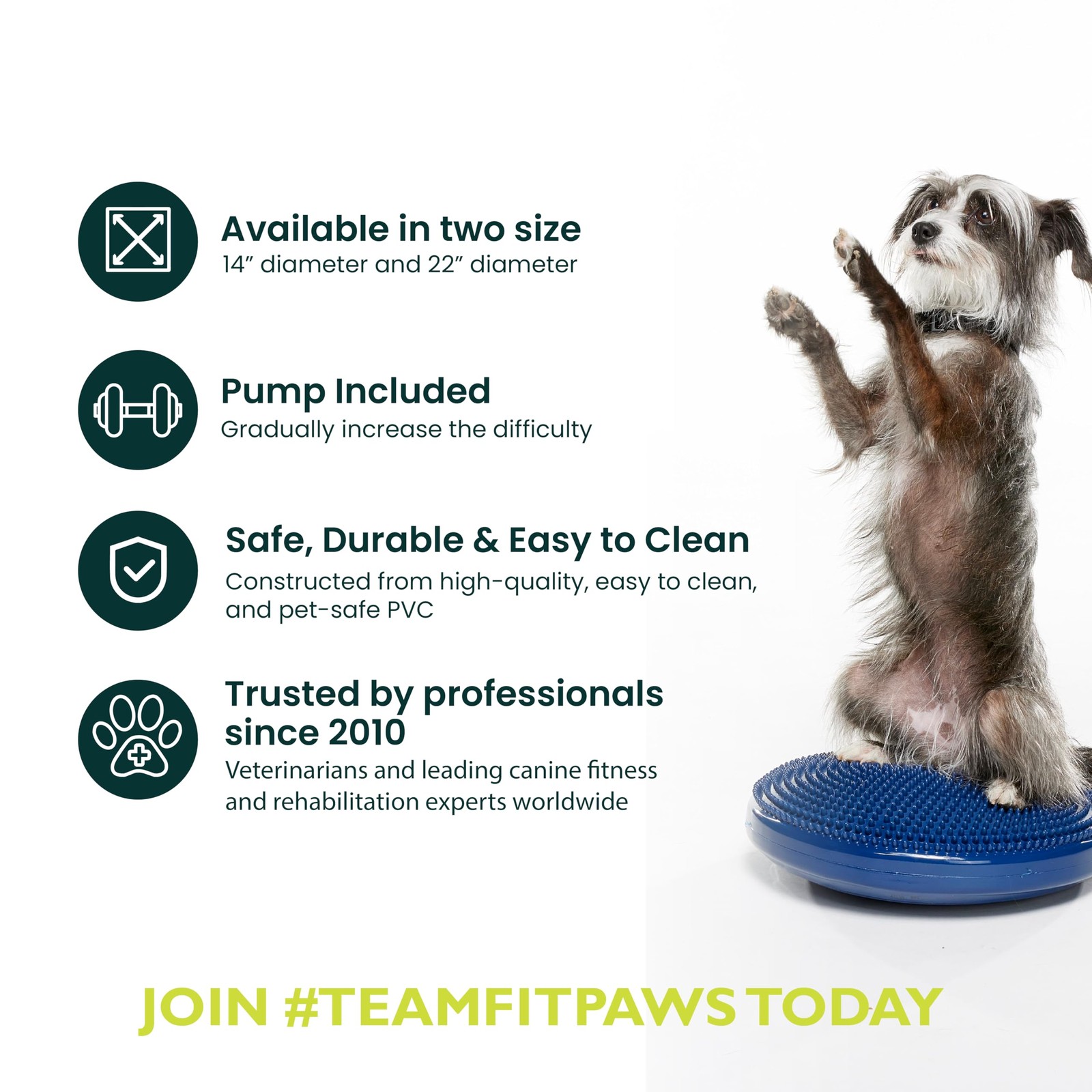 FitPAWS Dog Balance Disc 14" Blue Exercise Workout Tool Strength Core