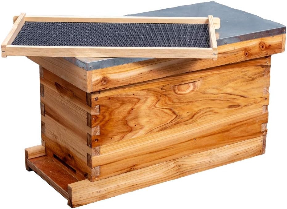 5-Frame Beehive Box Beekeeping Complete Bee Hive Box Kit Dipped in 100% Beeswax