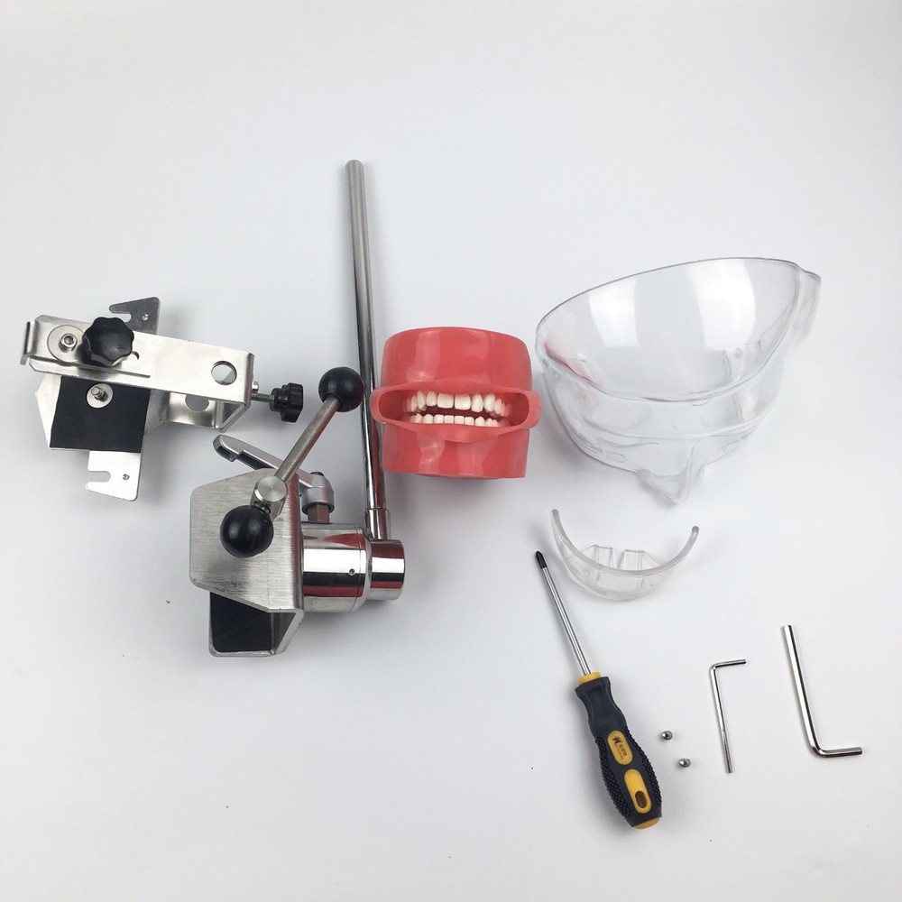 Dental phantom head model with Replacement Teeth simulator Bench mounted AU