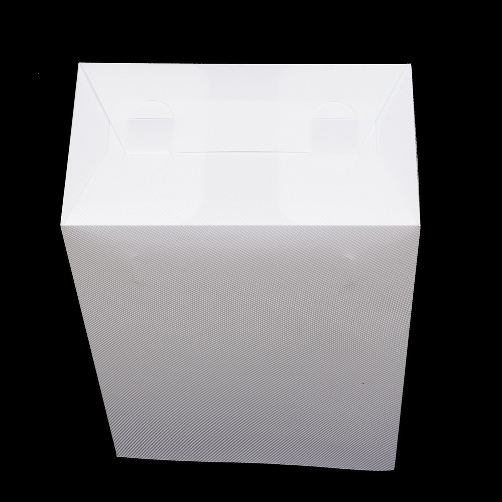 24pcs Clear Shoe Box Stackable Plastic Shoe Storage Organizer Sneaker Container