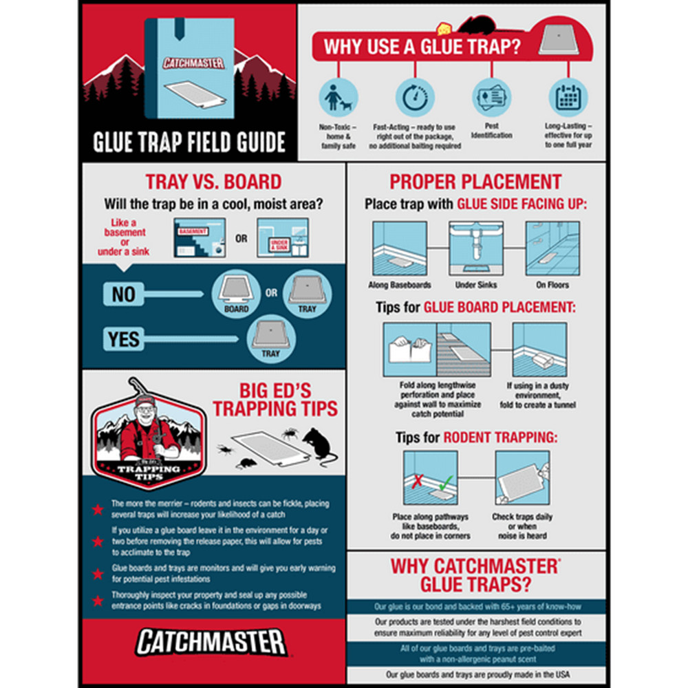**Mouse Glue Board Traps 4ct - Safe Indoor Pest Control Strips**