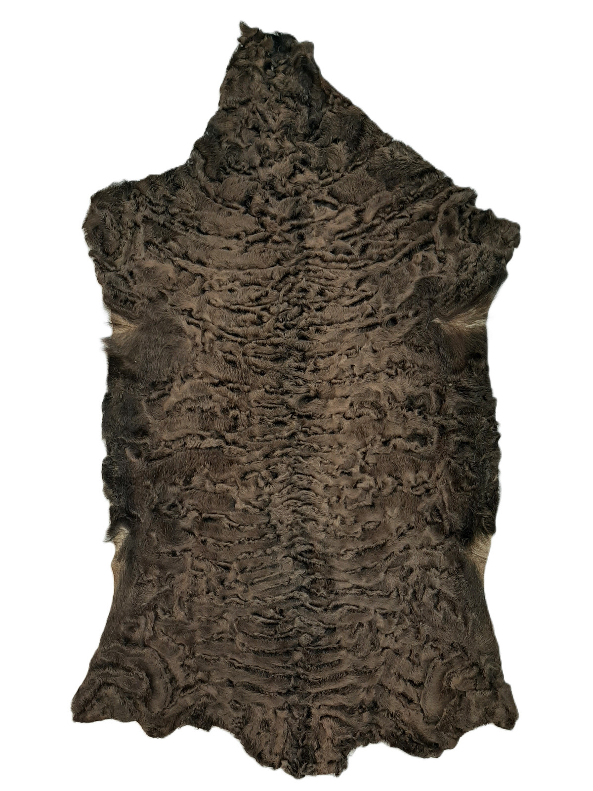 Karakul (Persian Lamb) Hide, Brown, Very Unique