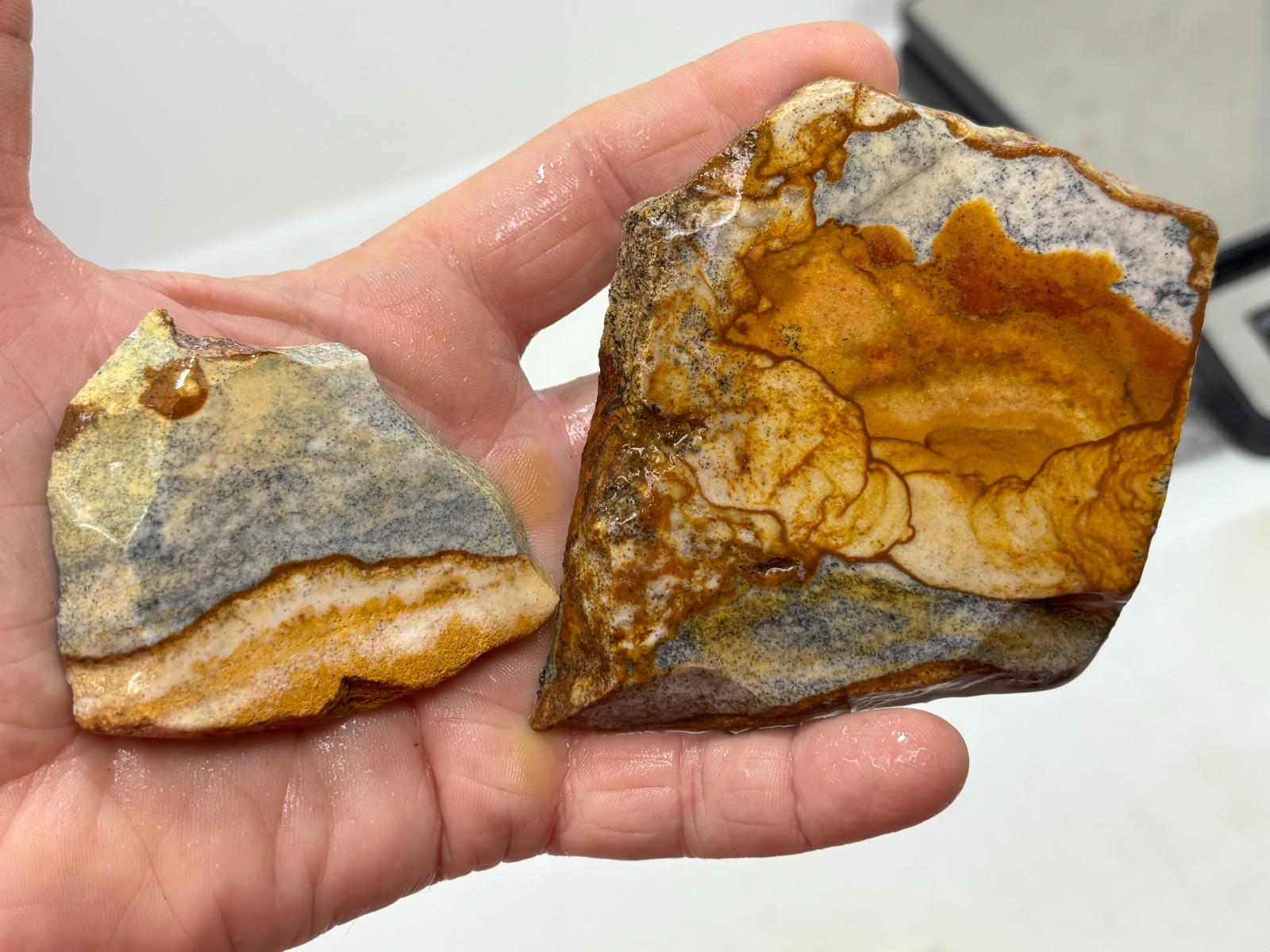 Disaster Peak Picture Jasper Cabbing Lapidary Collecting Combo Ship Avail