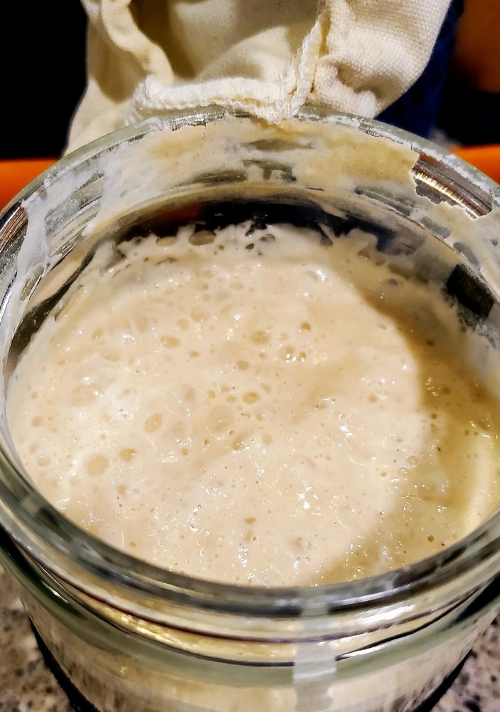 Sourdough Starter " Black Death "
