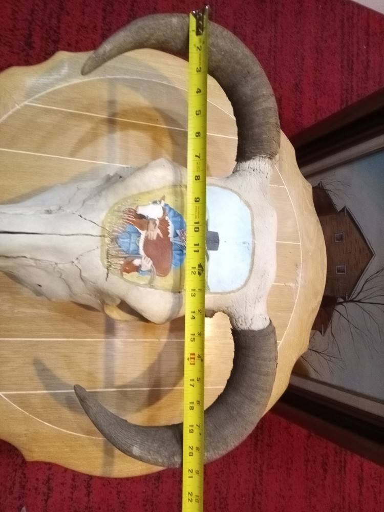 Charles E. Palmer Signed and Painted Bison Skull